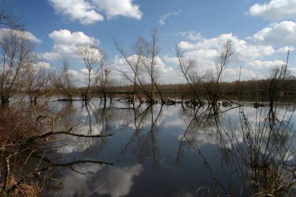 Shrap-Drakers.pl | Shrap Drakers Fishing | Wędkarstwo 
