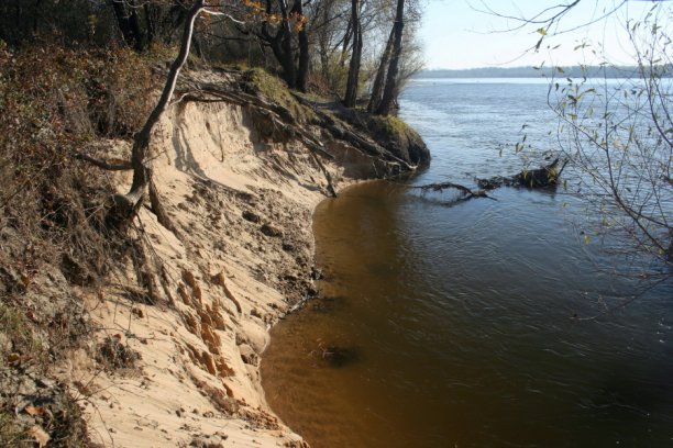 Shrap-Drakers.pl | Shrap Drakers Fishing | Wędkarstwo 