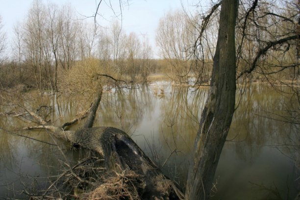 Shrap-Drakers.pl | Shrap Drakers Fishing | Wędkarstwo 