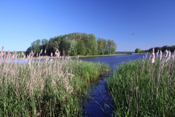 Shrap-Drakers.pl | Shrap Drakers Fishing | Wędkarstwo 