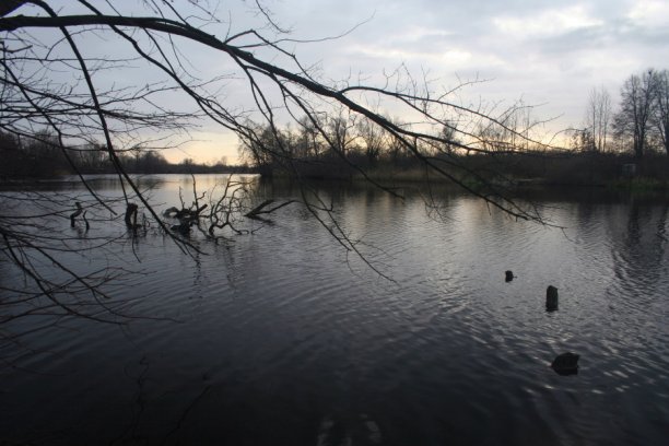 Shrap-Drakers.pl | Shrap Drakers Fishing | Wędkarstwo 