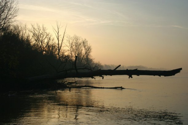 Shrap-Drakers.pl | Shrap Drakers Fishing | Wędkarstwo 