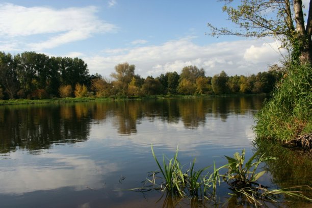 Shrap-Drakers.pl | Shrap Drakers Fishing | Wędkarstwo 