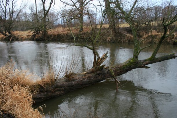 Shrap-Drakers.pl | Shrap Drakers Fishing | Wędkarstwo 