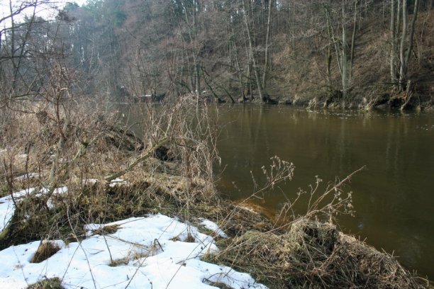 Shrap-Drakers.pl | Shrap Drakers Fishing | Wędkarstwo 