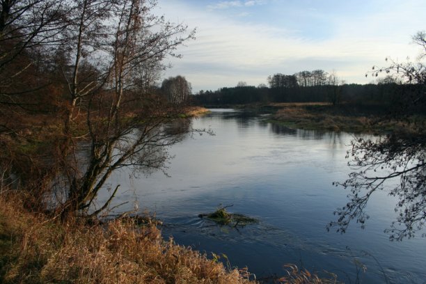 Shrap-Drakers.pl | Shrap Drakers Fishing | Wędkarstwo 