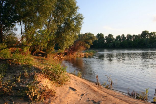 Shrap-Drakers.pl | Shrap Drakers Fishing | Wędkarstwo 