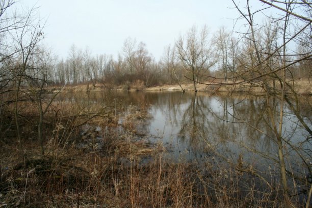 Shrap-Drakers.pl | Shrap Drakers Fishing | Wędkarstwo 