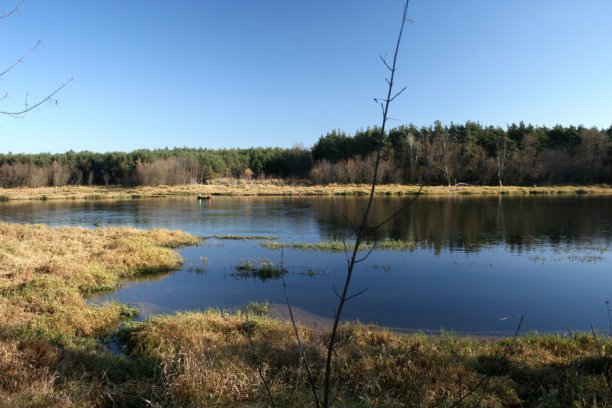 Shrap-Drakers.pl | Shrap Drakers Fishing | Wędkarstwo 