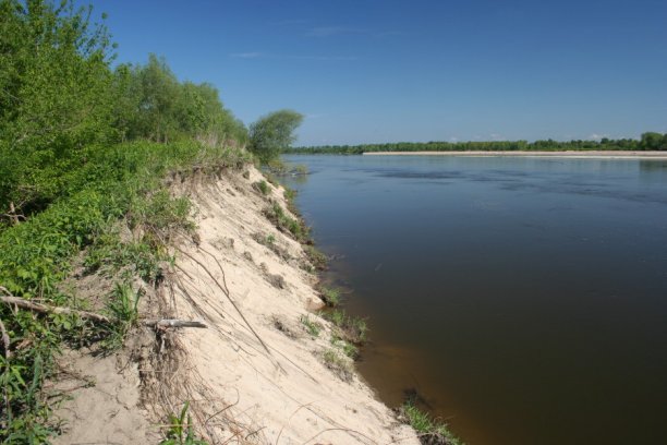 Shrap-Drakers.pl | Shrap Drakers Fishing | Wędkarstwo 
