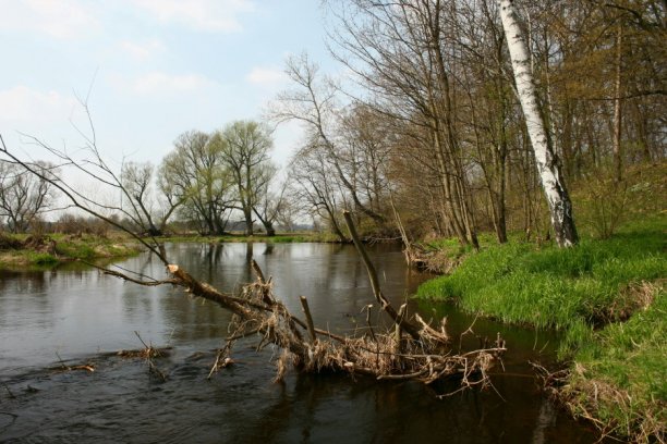 Shrap-Drakers.pl | Shrap Drakers Fishing | Wędkarstwo 