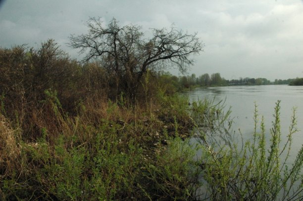 Shrap-Drakers.pl | Shrap Drakers Fishing | Wędkarstwo 