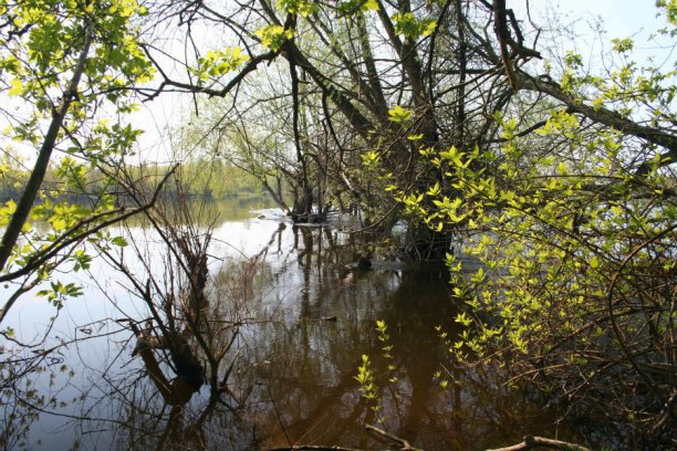 Shrap-Drakers.pl | Shrap Drakers Fishing | Wędkarstwo 