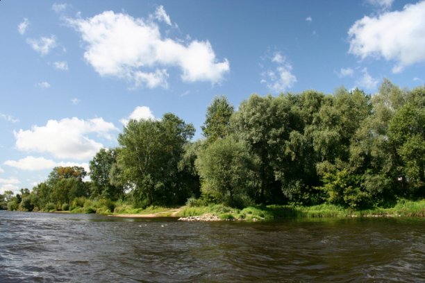 Shrap-Drakers.pl | Shrap Drakers Fishing | Wędkarstwo 