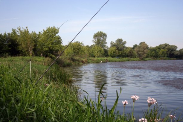 Shrap-Drakers.pl | Shrap Drakers Fishing | Wędkarstwo 