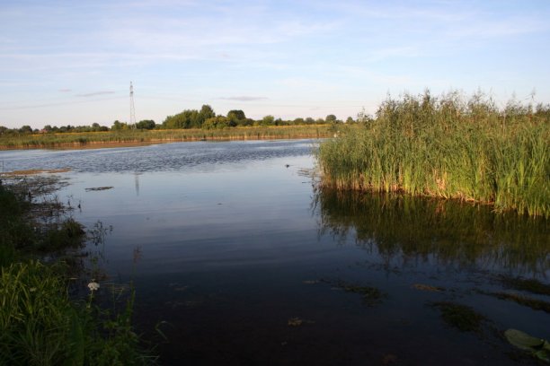 Shrap-Drakers.pl | Shrap Drakers Fishing | Wędkarstwo 