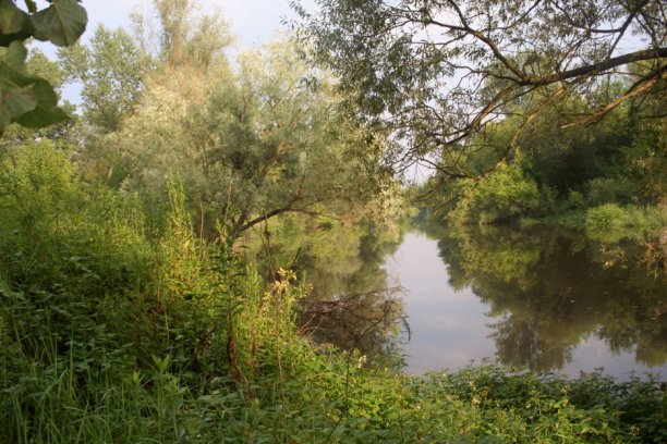 Shrap-Drakers.pl | Shrap Drakers Fishing | Wędkarstwo 