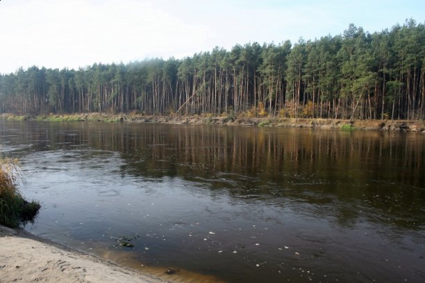 Shrap-Drakers.pl | Shrap Drakers Fishing | Wędkarstwo 