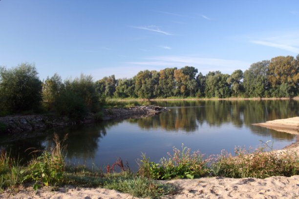 Shrap-Drakers.pl | Shrap Drakers Fishing | Wędkarstwo 