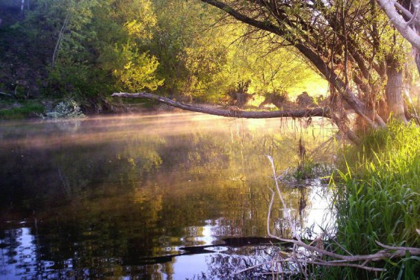 Shrap-Drakers.pl | Shrap Drakers Fishing | Wędkarstwo 