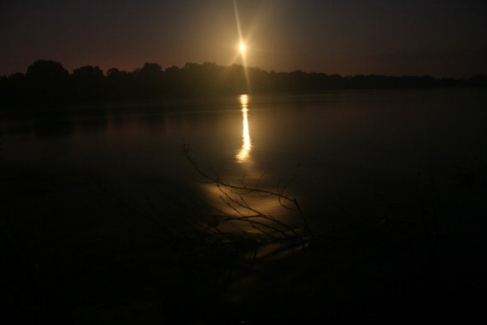 Shrap-Drakers.pl | Shrap Drakers Fishing | Wędkarstwo 