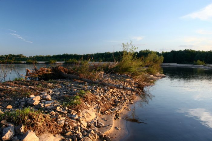 Shrap-Drakers.pl | Shrap Drakers Fishing | Wędkarstwo 