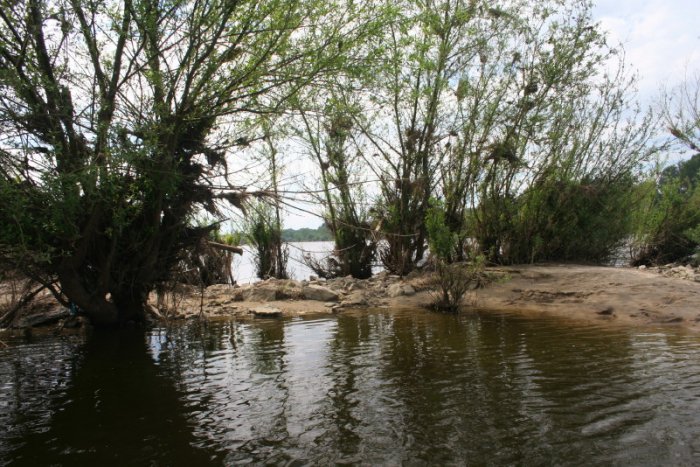 Shrap-Drakers.pl | Shrap Drakers Fishing | Wędkarstwo 