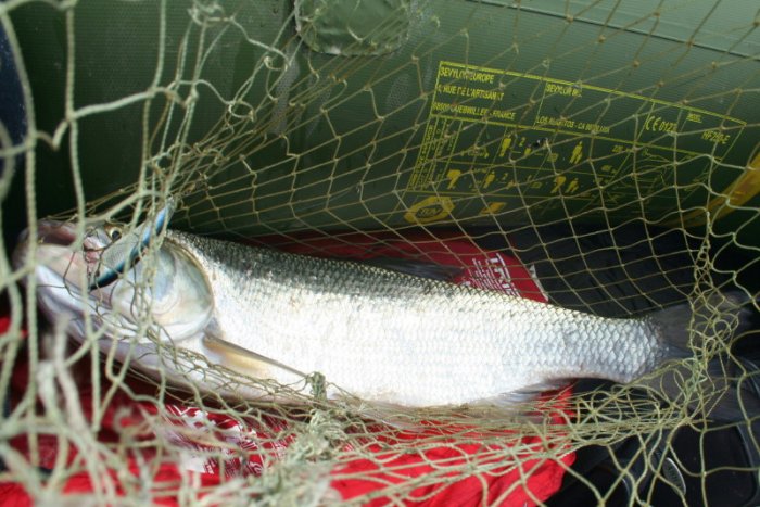 Shrap-Drakers.pl | Shrap Drakers Fishing | Wędkarstwo 