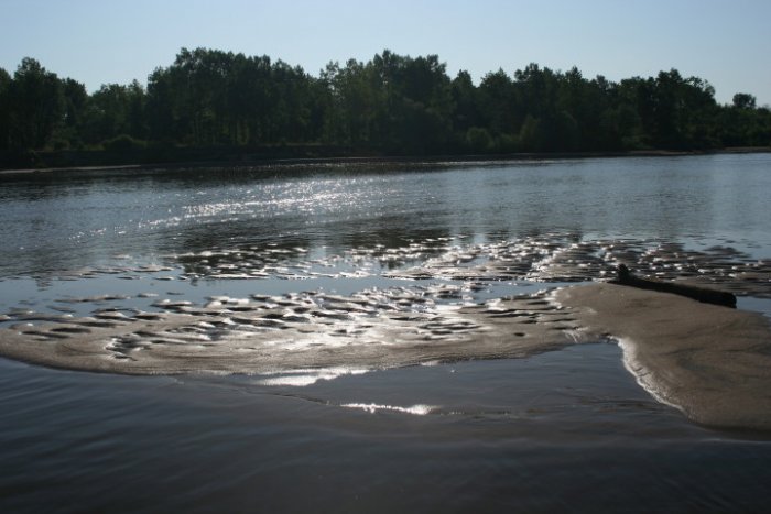 Shrap-Drakers.pl | Shrap Drakers Fishing | Wędkarstwo 