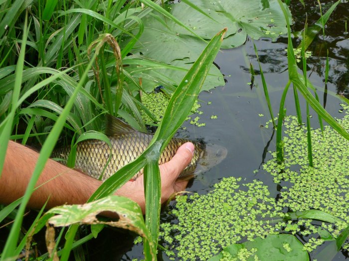 Shrap-Drakers.pl | Shrap Drakers Fishing | Wędkarstwo 
