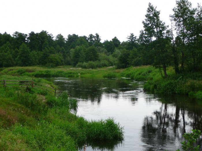 Shrap-Drakers.pl | Shrap Drakers Fishing | Wędkarstwo 