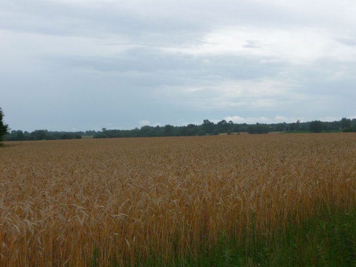 Shrap-Drakers.pl | Shrap Drakers Fishing | Wędkarstwo 