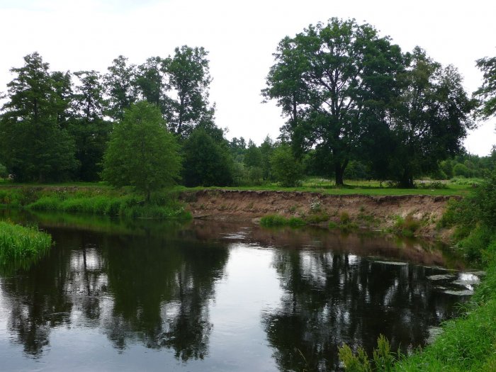 Shrap-Drakers.pl | Shrap Drakers Fishing | Wędkarstwo 