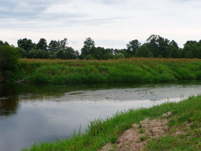 Shrap-Drakers.pl | Shrap Drakers Fishing | Wędkarstwo 