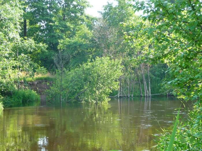 Shrap-Drakers.pl | Shrap Drakers Fishing | Wędkarstwo 