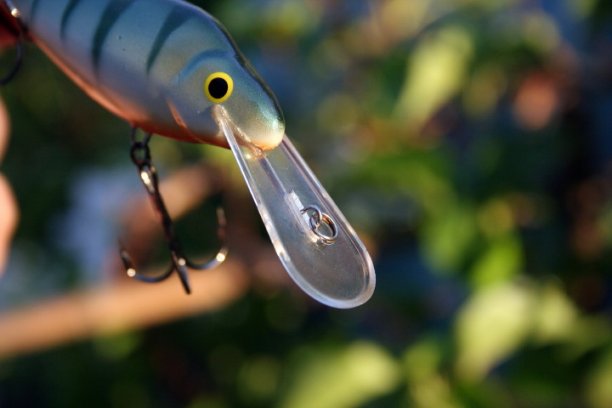 Shrap-Drakers.pl | Shrap Drakers Fishing | Wędkarstwo 