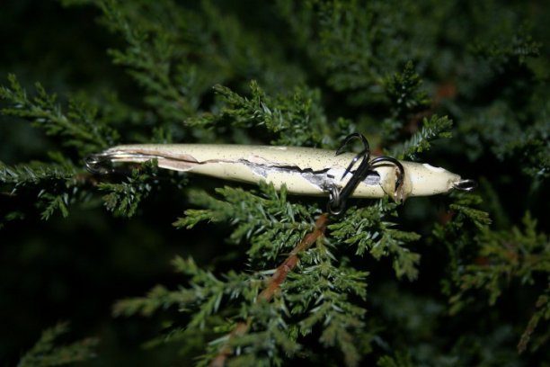 Shrap-Drakers.pl | Shrap Drakers Fishing | Wędkarstwo 