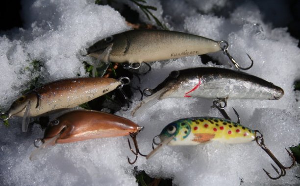 Shrap-Drakers.pl | Shrap Drakers Fishing | Wędkarstwo 