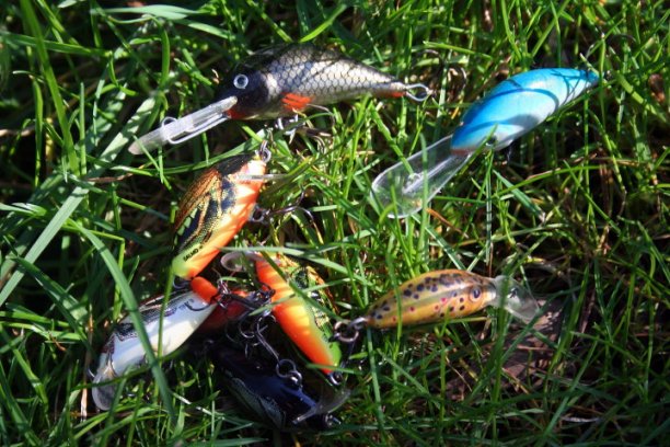 Shrap-Drakers.pl | Shrap Drakers Fishing | Wędkarstwo 