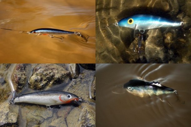 Shrap-Drakers.pl | Shrap Drakers Fishing | Wędkarstwo 