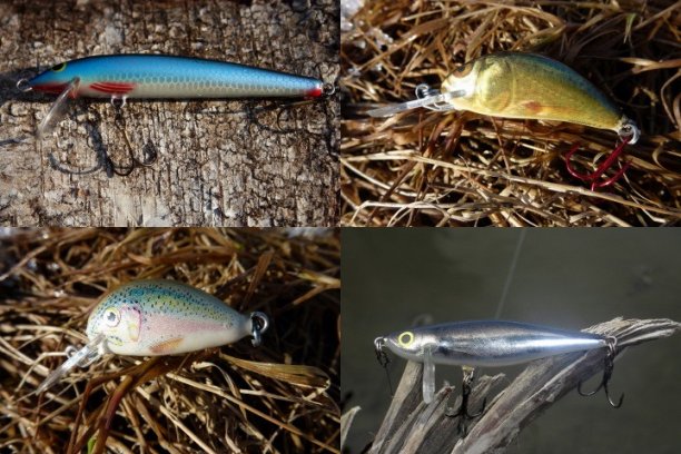 Shrap-Drakers.pl | Shrap Drakers Fishing | Wędkarstwo 