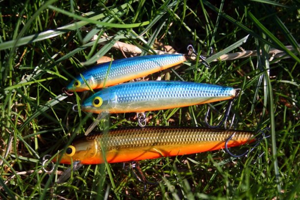 Shrap-Drakers.pl | Shrap Drakers Fishing | Wędkarstwo 