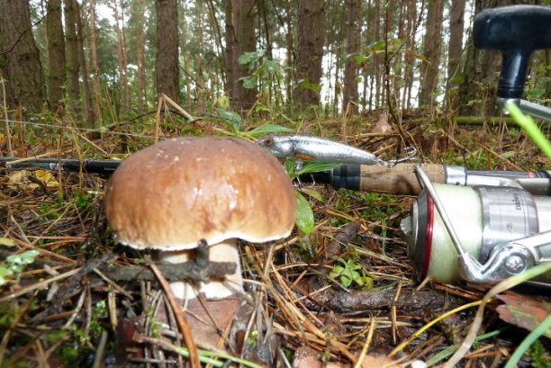 Shrap-Drakers.pl | Shrap Drakers Fishing | Wędkarstwo 