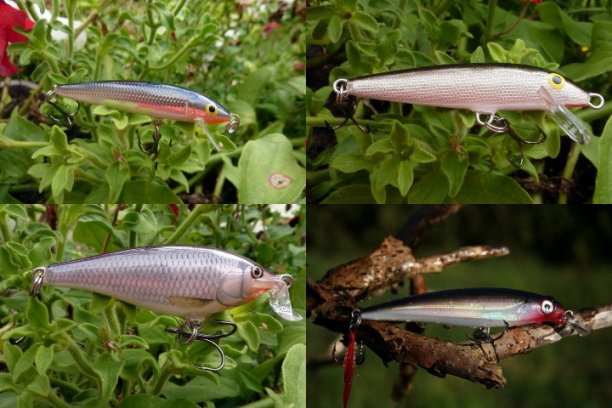 Shrap-Drakers.pl | Shrap Drakers Fishing | Wędkarstwo 