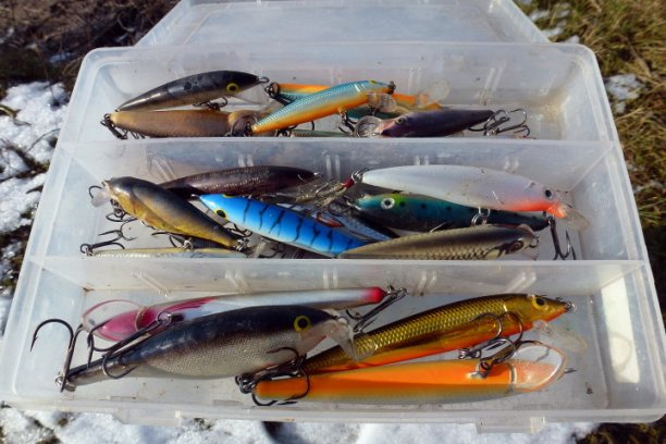 Shrap-Drakers.pl | Shrap Drakers Fishing | Wędkarstwo 