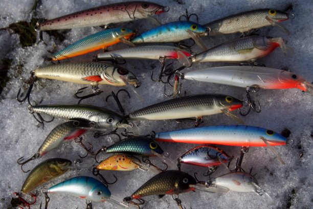 Shrap-Drakers.pl | Shrap Drakers Fishing | Wędkarstwo 