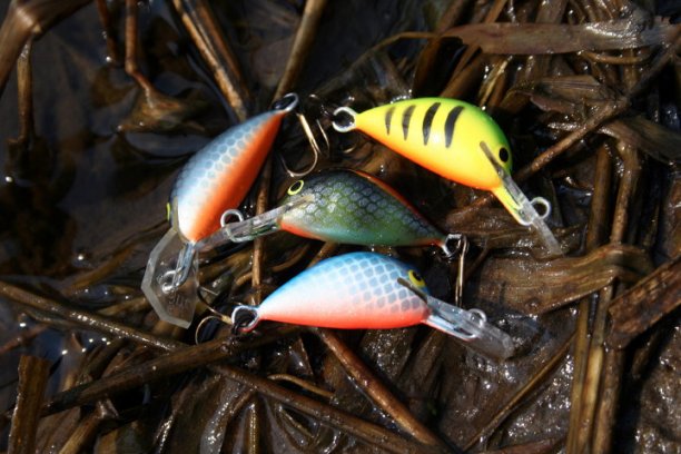 Shrap-Drakers.pl | Shrap Drakers Fishing | Wędkarstwo 