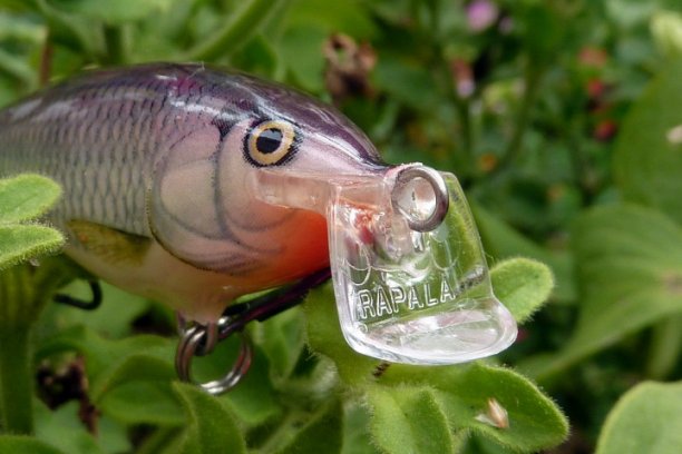 Shrap-Drakers.pl | Shrap Drakers Fishing | Wędkarstwo 