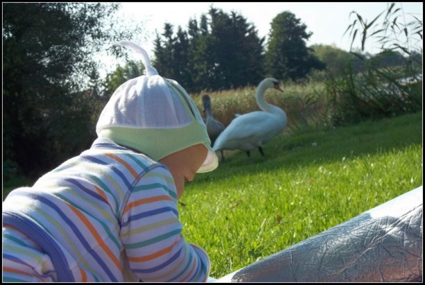 Shrap-Drakers.pl | Shrap Drakers Fishing | Wędkarstwo 