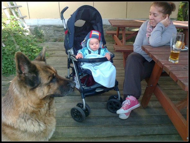 Shrap-Drakers.pl | Shrap Drakers Fishing | Wędkarstwo 